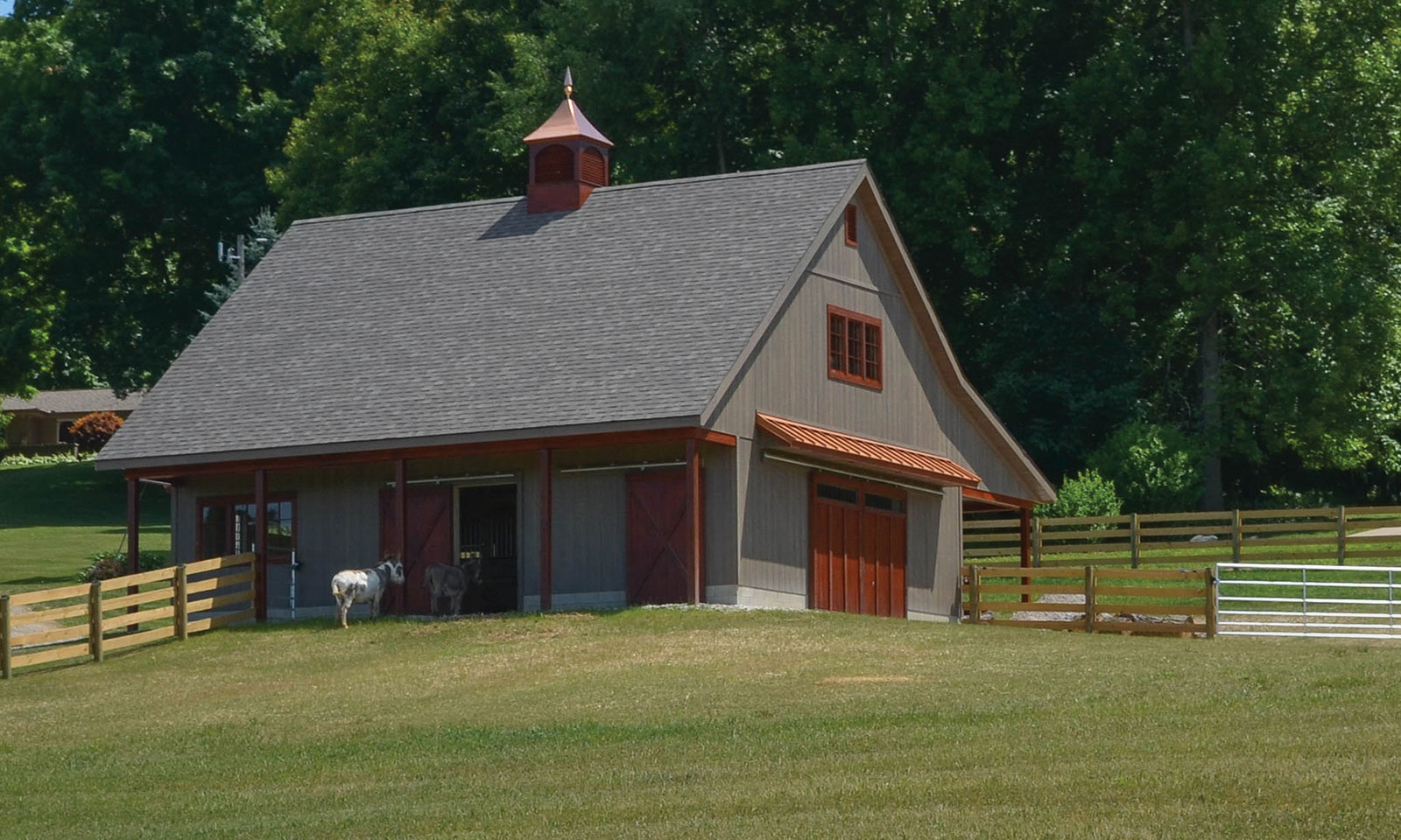 Animal Shed Custom Barn - JDM Outdoors